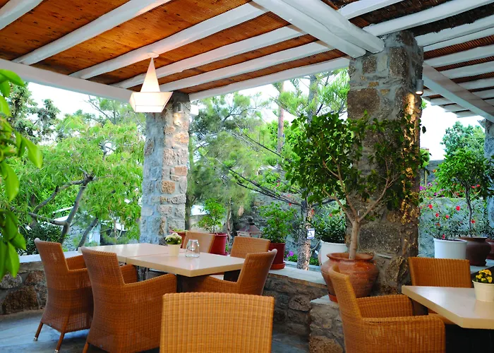 Kamari Platys Gialos (Mykonos)